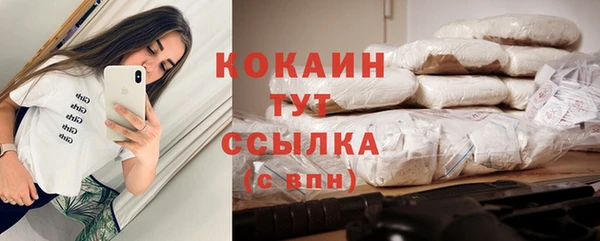 кокс Белокуриха